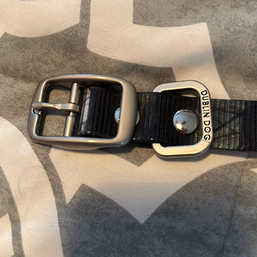 NWOT Dublin Dog collar - M